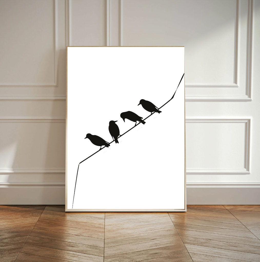 Pajaros