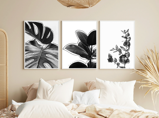 Plantas